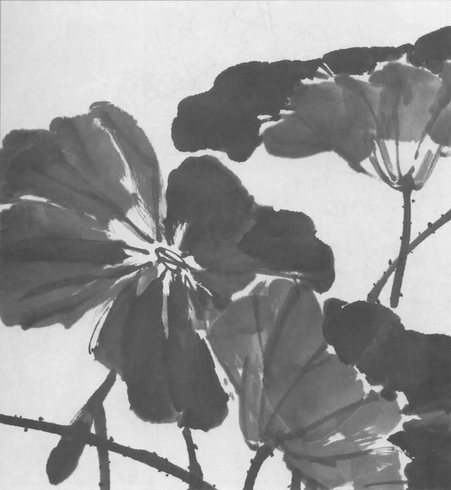 水墨画初学者入门教程，水墨画入门教程（图文教程：画水墨荷花）