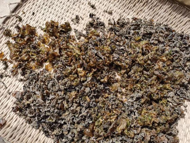 蕖菜的作用药用价值，蕹菜的药用价值（后4种好多人都不知道真名叫什么）