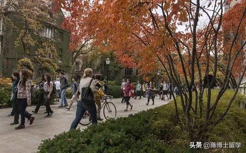 十二星座最适合的大学，十二星座最适合美国哪所大学（十二星座适合去美国哪所名校）