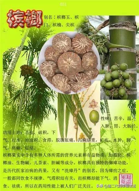 常见中草药图谱，中草药经典图谱（让你知道常用药都长啥样）