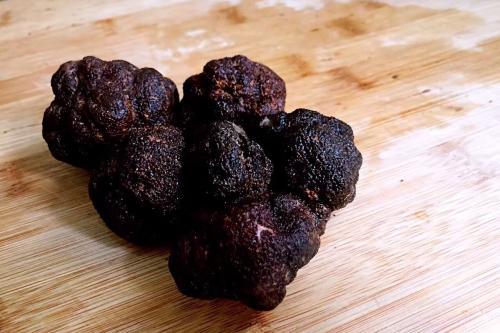 松露是什么东西，松露的功效与作用（都说松露好吃、松露贵、那么松露到底是什么）