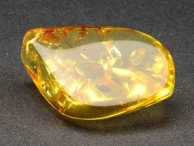 琥珀形成的条件，琥珀形成的四个条件是什么（最有文化底蕴的有机宝石——琥珀）