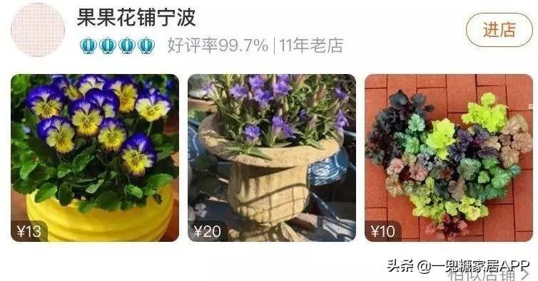 淘宝网花店(淘宝商城花卉市场)