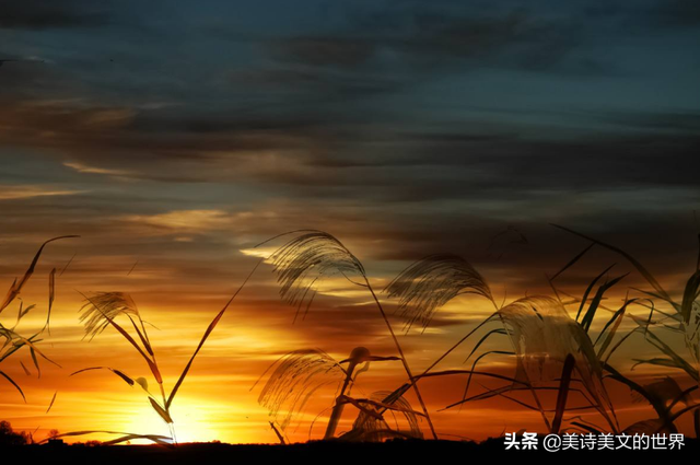 山雨欲来风满楼什么意思，黑云压城城欲摧（“山雨欲来风满楼”为何进不了《唐诗三百首》）