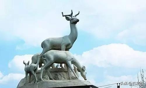 鹿在风水中的象征意义，鹿在风水中的象征意义家里挂画注意什么（“石”来运转）
