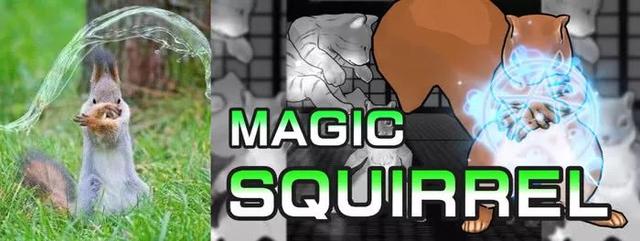 吸猫伐是什么意思，什么叫吸猫（禽兽们搞起比利来有多“骚”）