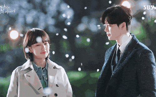 伯利恒之星花语，伯利恒之星（5种花代表不同的暗恋心情）