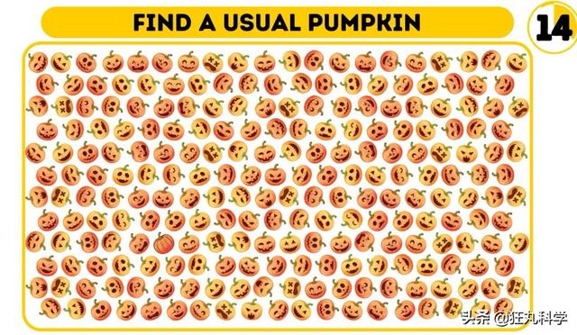 列文虎克是什么梗，你是列文虎克吗（为什么眼神好的人都叫列文虎克）