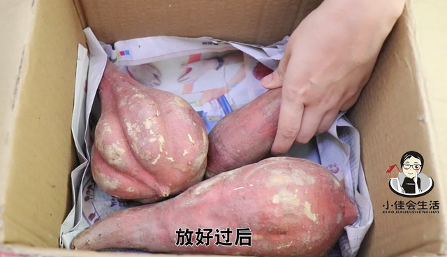 夏天红薯怎么保存不会烂掉（放半年也不怕发芽变质）