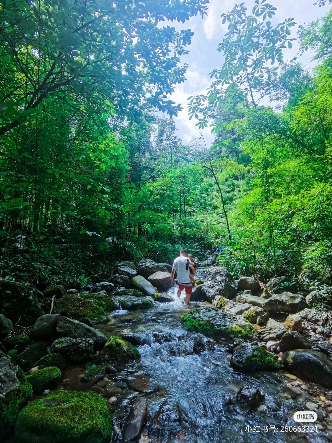 汶川景區有哪些景點,帶你探秘汶川趙公山后絕世秘境 汶川景區有哪些景點,帶你探秘汶川趙公山后絕世秘境