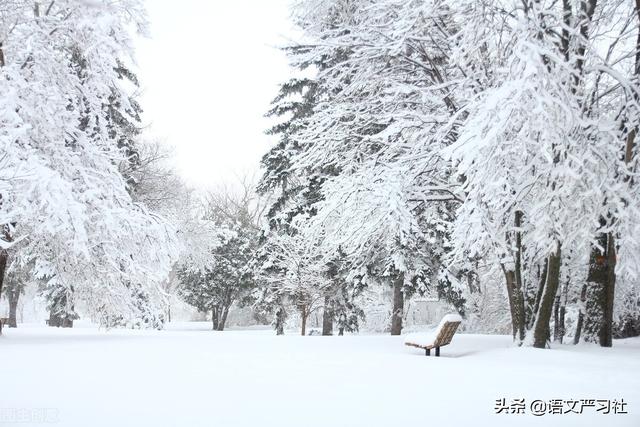 飞花令雪的诗句，飞花令里的诗句100首（古诗飞花令“雪”，你知道多少）