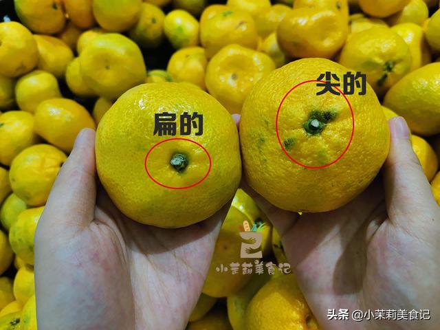 橘子的形状，橘子的形状颜色味道（“尖的”和“扁的”区别很大）