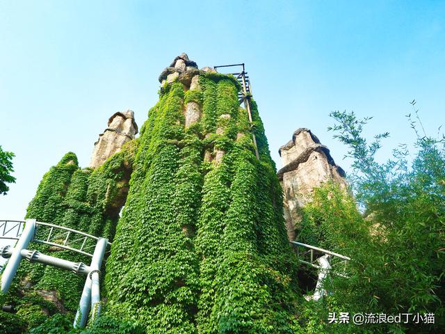 上海情人节去哪里玩，上海情侣去哪里玩（带着“她”来上海这处约会圣地）
