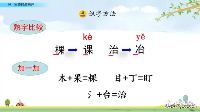 什么的枝叶填空，什么枝叶填空二年级（部编版二年级上册第14课《我要的是葫芦》课件及同步练习）