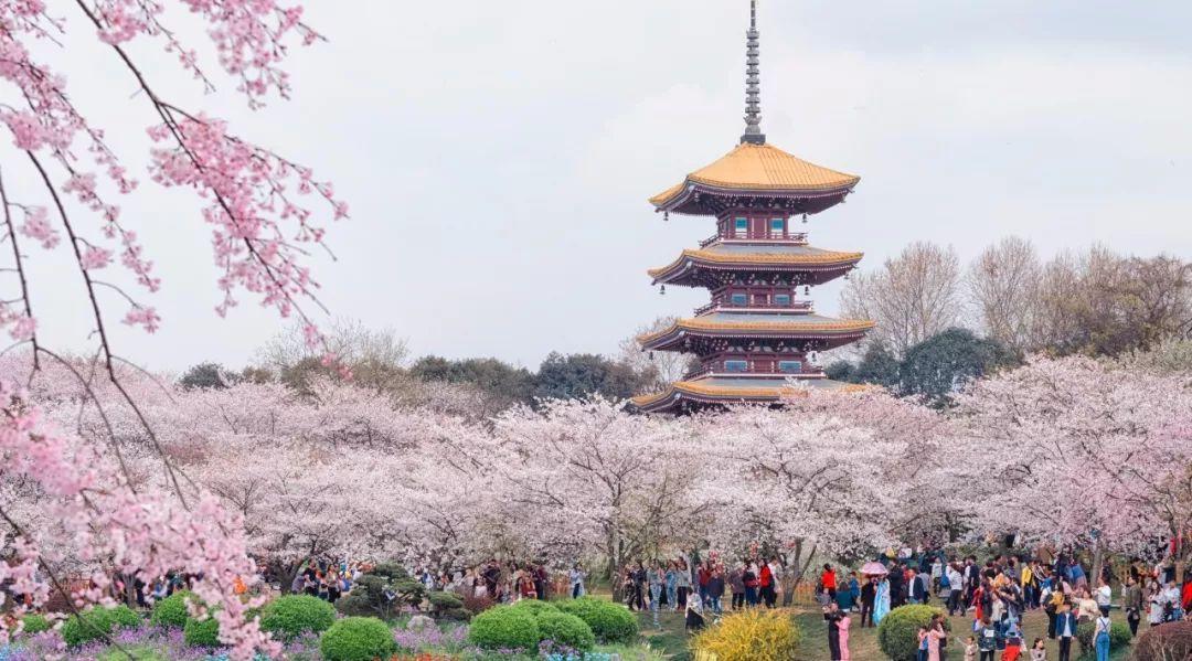 大学校园风景（国内那些风景如画的大学）