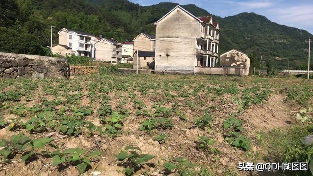 怎样惩罚自己成绩不好，怎样惩罚自己成绩不好的人（学习不努力，父亲这样惩罚我）