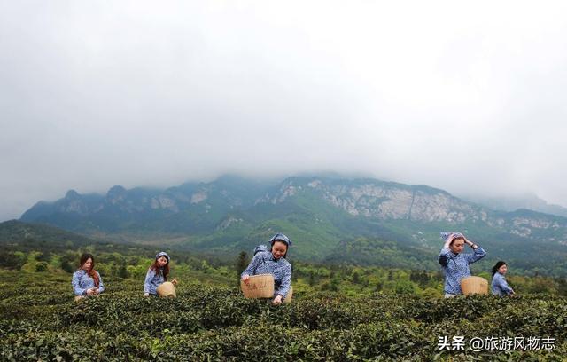 江西特产礼品有哪些，江西特产礼品有哪些品牌（不愧为人杰地灵之地）