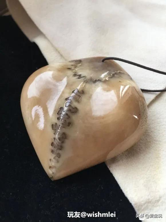 象牙果是什么东西，象牙果是什么东西（真的入手生润）