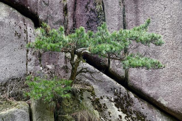 九华山主峰有什么景点，奇观天下，走进世界地质公园