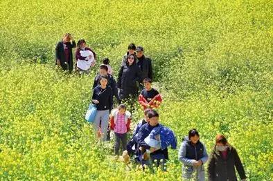 惊蛰是几月几日 惊蛰一般在哪一天，惊蛰是几月几日（万物复苏，今日惊蛰）