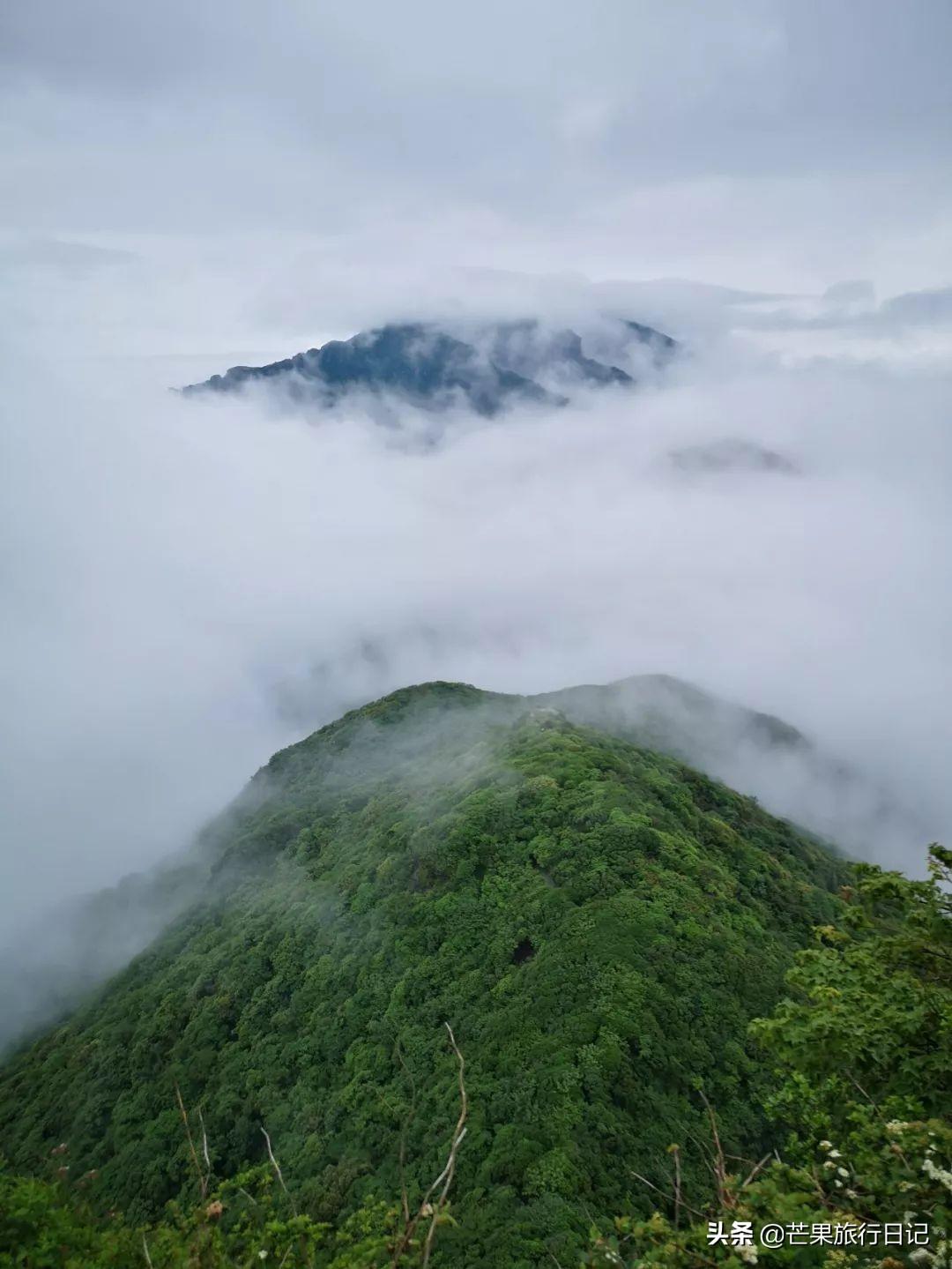 贵州梵净山门票多少钱一张，梵净山门票多少钱一张（梵净山被称为“贵州第一山”）