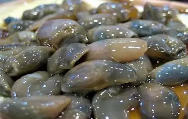 请问清炸小扒皮鱼的做法，炸小剥皮鱼的做法大全（今后再也不怕不认识海鲜了）