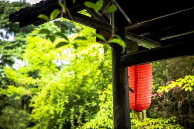 梅子流酸溅齿牙，梅子流酸溅齿牙的意思（愿你心存美好）