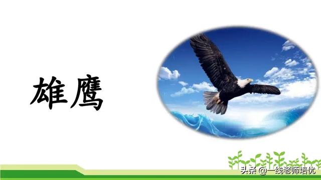 什么的骏马填空成语，什么的骏马填合适的成语（部编版小学语文二年级上册《语文园地七》重点知识+图文解读）