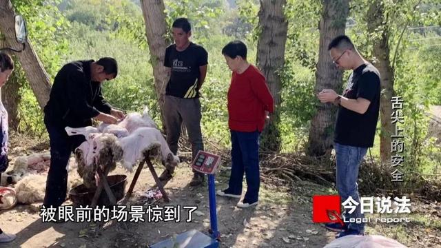 舌尖上的安全，舌尖上的安全心得体会（专题片《为了公众的利益》之《舌尖上的安全》）