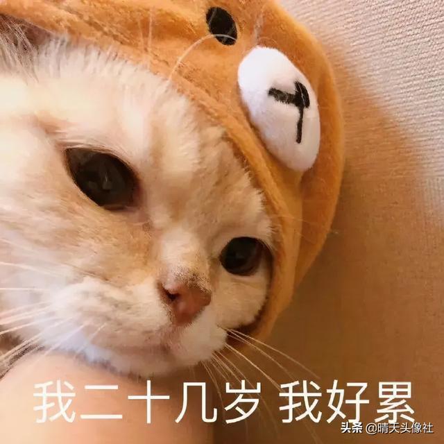 表情包啊啊啊，微信头像，表情包啊啊啊（表情包 ， 女孩就要酷一点）