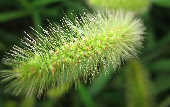 如何对付那些损人不利已的小人，对付小人有什么办法（损人不利己的这三种人）