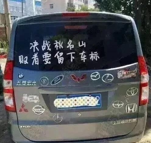 汽车贴纸有特色吗，汽车上的花式车贴
