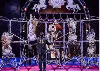 世界最著名的马戏团有哪些，世界最著名的马戏团有哪些动物（全球最知名的马戏表演要来郑州了）