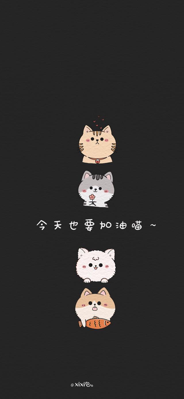 猫咪手机壁纸，微信头像，猫咪手机壁纸（简单又可爱的小猫咪壁纸）