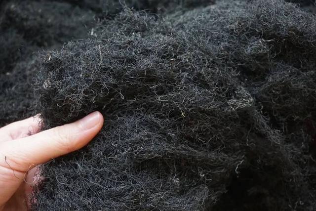 国家一级保护植物的名单，国家一级保护植物简介（植物世界丨国家一级重点保护野生植物名录）