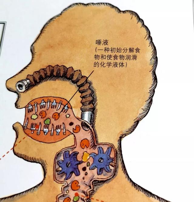 如何画一部简单的电话机，画电话的简单画法图（这套儿童科普读物把骨头画成钢铁侠）