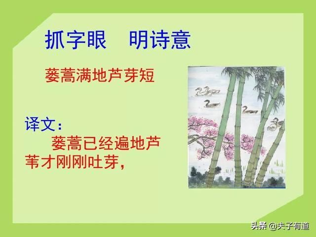 鸯字怎么组词，鸯字怎么组词三年级（部编版语文三年级下册第一单元汇总）