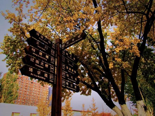 辽宁科技大学宿舍，2021年辽宁科技大学新生宿舍条件图片环境怎么样（<十五>辽宁科技大学）