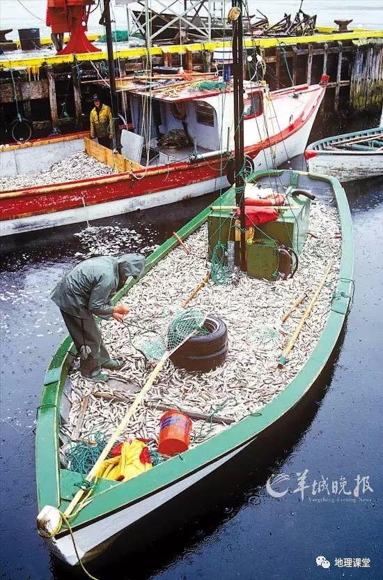 秘鲁渔场位置，秘鲁渔场形成原因是寒暖流交汇吗（是什么让世界超级大渔场变得死寂）
