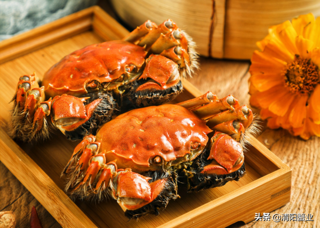 最正确煮大闸蟹的方法，由来已久的大闸蟹做法——煠蟹
