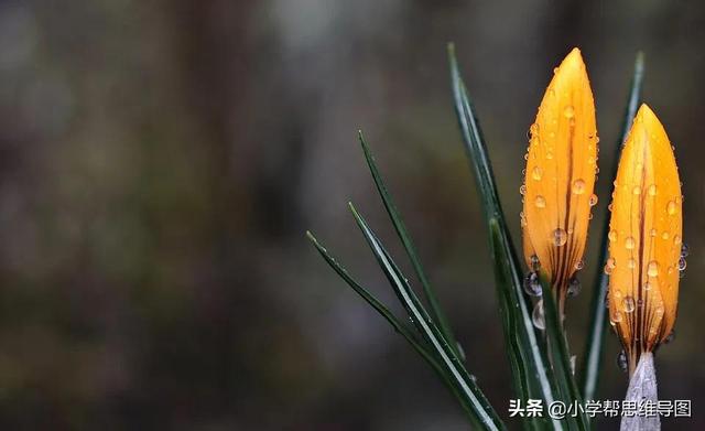 校园的生活作文300字四篇，写校园生活作文300字（《我的校园生活》写作技巧）