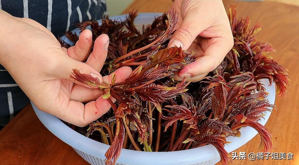 香椿正確的保存方法 方法超簡單 隨吃隨取 和剛摘的一樣鮮-起舞食譜網