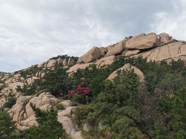 鹤山市属于哪个省哪个地区，鹤山哪里的（北有山东青岛以“石奇”而闻名的鹤山风景区）