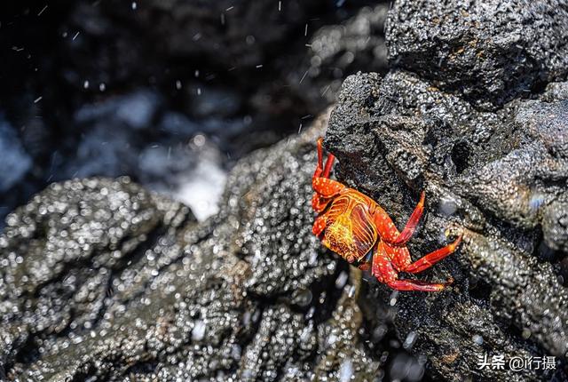 厄瓜多尔在哪里，厄尔多瓜具体在哪里（走进厄瓜多尔——世界上唯一以“赤道”命名的国家）