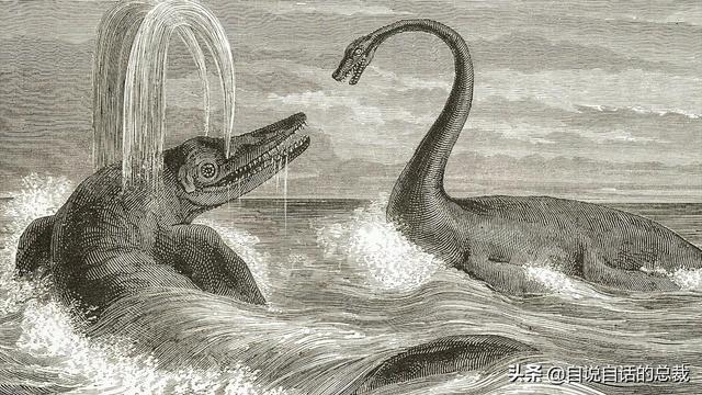 十大怪异鲨鱼，10000米长的蜈蚣（背后隐藏着一个人类起源的故事）