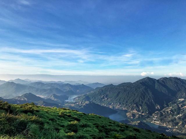 凤凰单枞茶功效，凤凰单枞属于什么茶功效（潮州凤凰出名单丛茶，为什么）