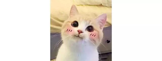 ink文件用什么打开，ink文件用什么打开win10（10最好用的10个功能）