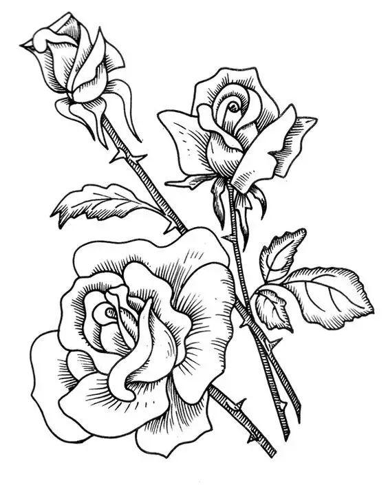 简单的花怎么画，如何画小花花简笔画（一朵花，简单的几笔就可以了）