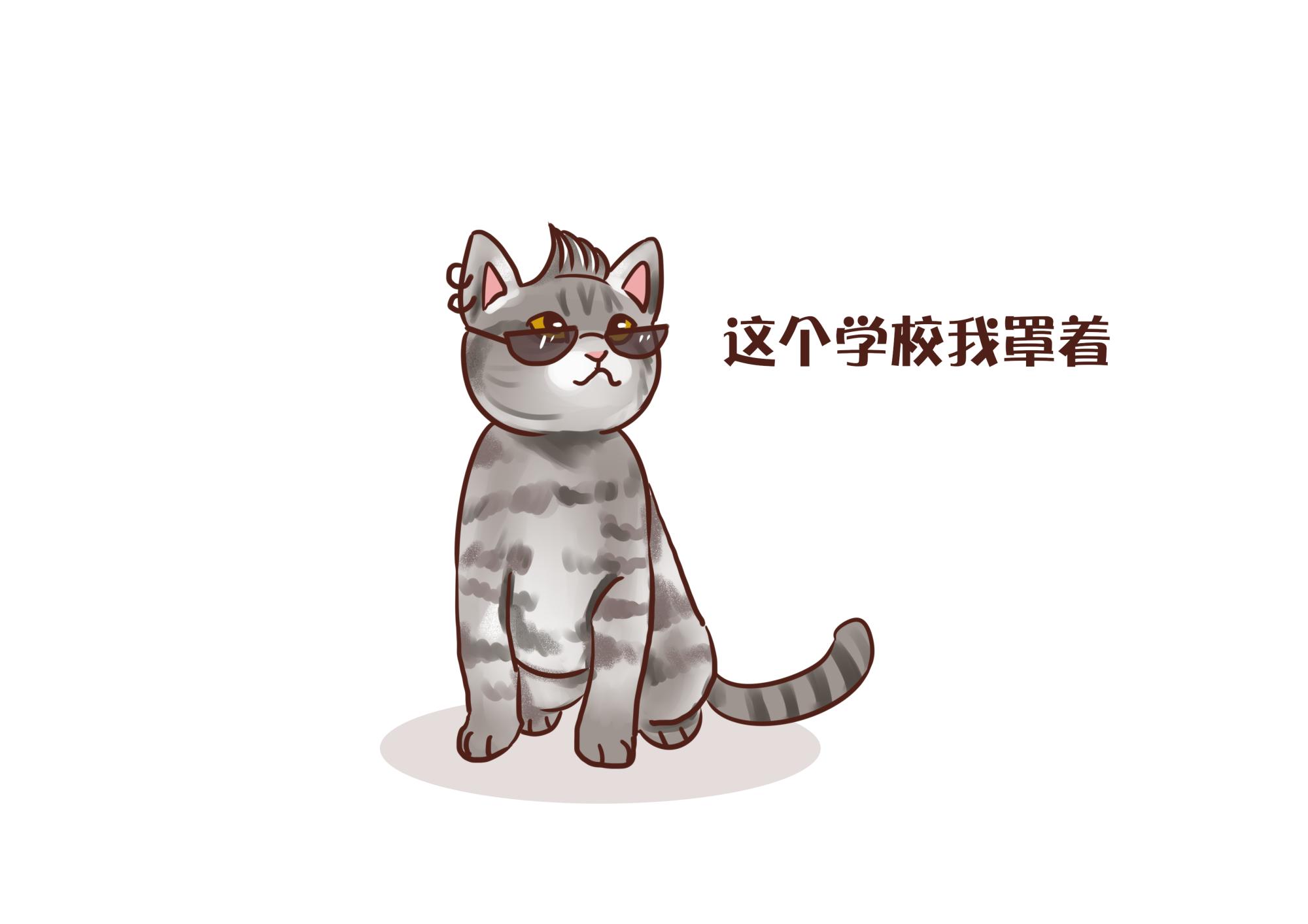 狸花猫多少钱 狸花猫千万不能养为什么