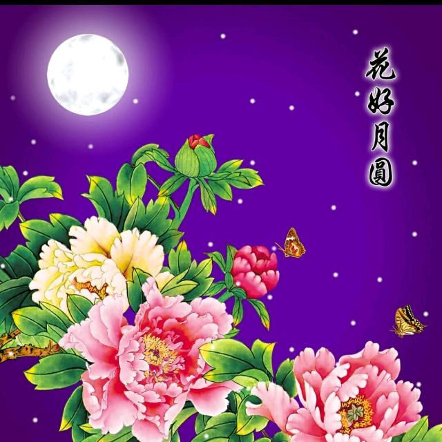 鸭子是什么意思呀，男生当鸭子是什么意思呀